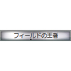 称号:フィールドの王者(銀枠)