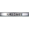 称号:光輝ある指揮者(銀枠)